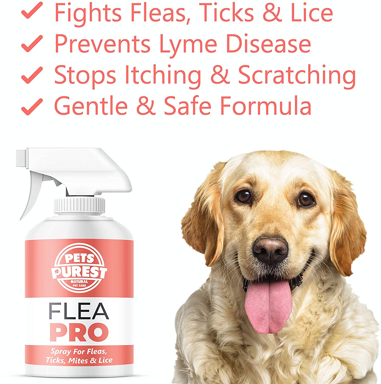 Pets Purest Flea Treatment For Dogs & Cats 100 Natural Mite, Lice
