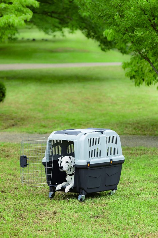 Nobby Reise Transportbox Skudo 4 IATA Traveller, 68 x 48 x 51 cm - Image 2
