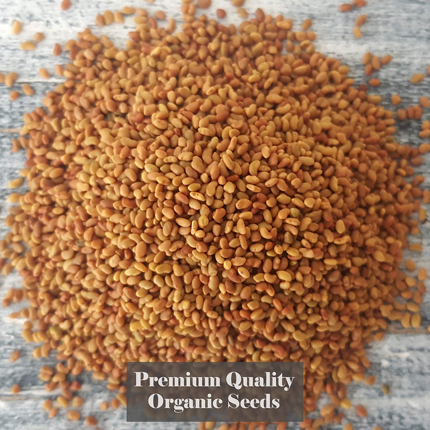 Verdant Republic Organic Alfalfa Sprouting Seeds 250g, Brown - Image 2