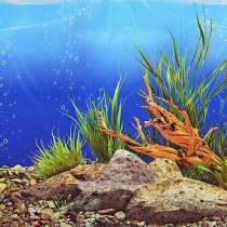Pistachio Pet - Double-Sided Background Aquarium Poster, 45 x 100 cm