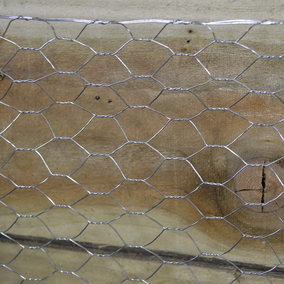 Chicken Wire - Image 3