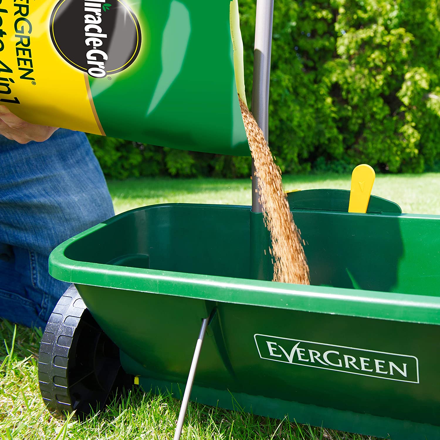 Miracle-Gro Evergreen Complete 4 in 1 Lawn Food-150 m2 (New 'Easy Carry' Bag), Lawn food, Weed & Moss Control - Image 4