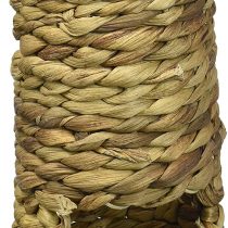 Rosewood Boredom Breaker Small Animal Activity Hyacinth Tunnel, Small