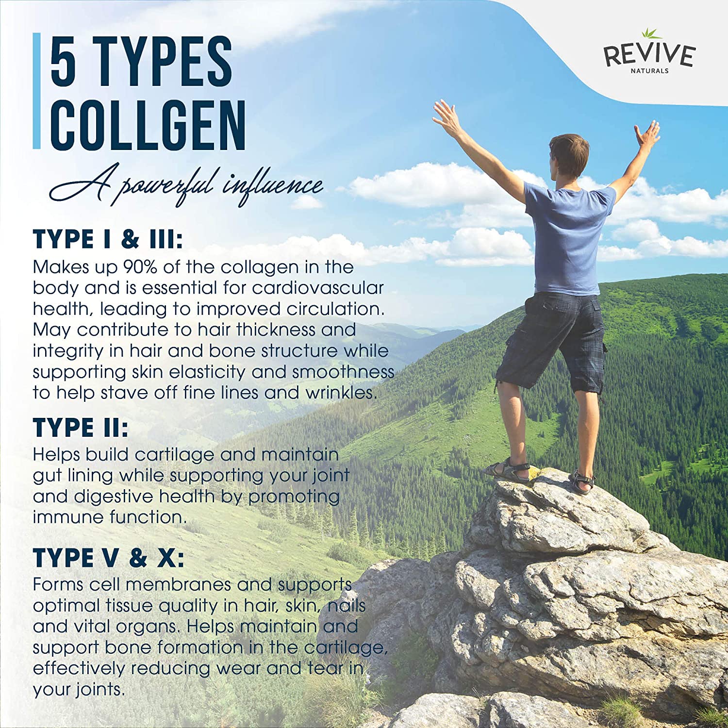 Multi Collagen Protein Capsules, 120 Count, Types I, II, III, V & X, Hydrolysed Grass Fed Bovine - Image 3