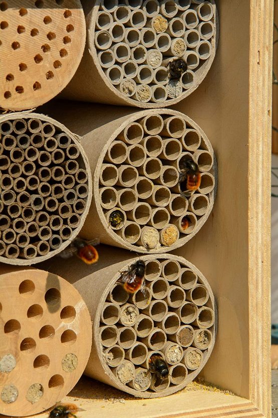 dobar 28450e Professional Insect Hotel for Wild Bees, Solid Nesting Aid with Paper Tube, 16 x 12.5 x 23 cm, Birch, Natural - Image 2