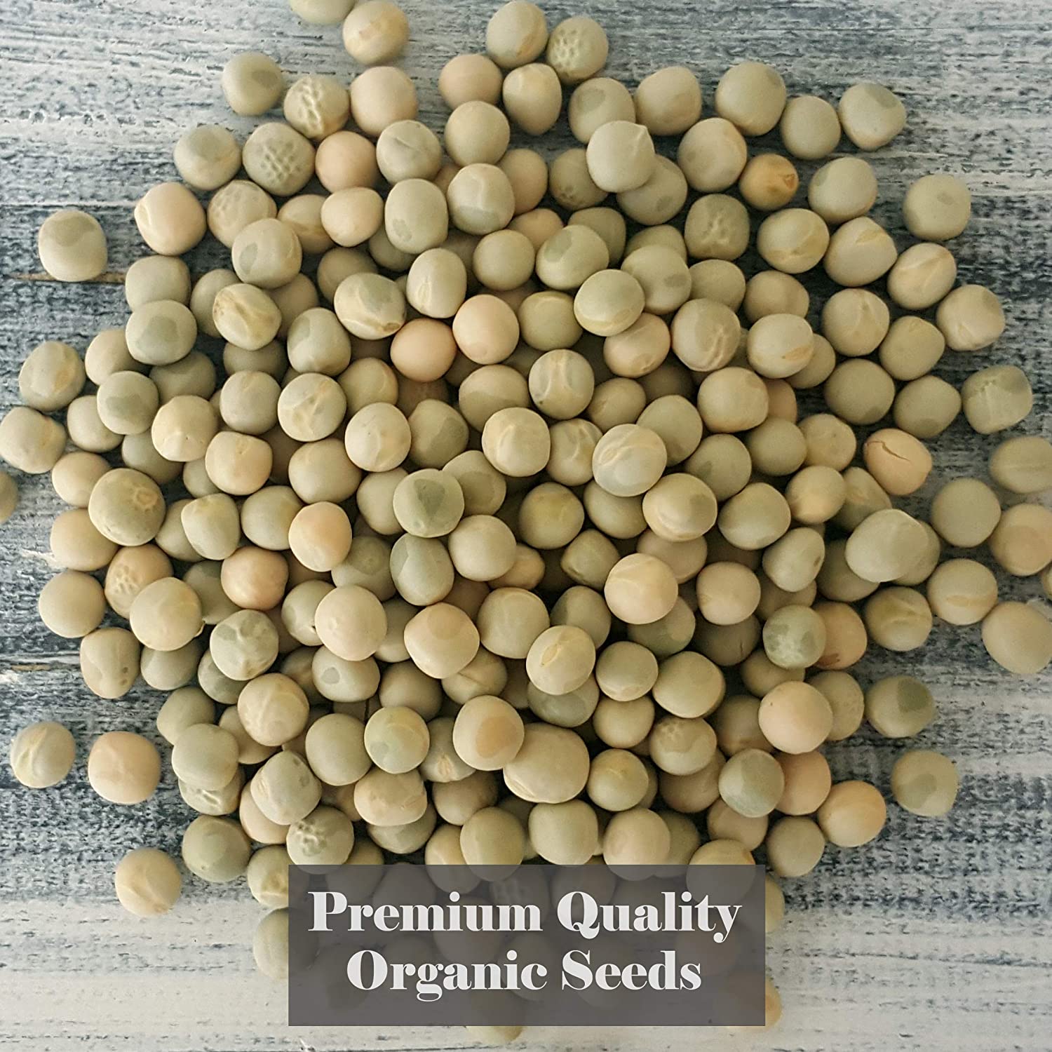 Verdant Republic Organic Pea Shoots Sprouting Microgreen Seeds 1kg, Natural - Image 2