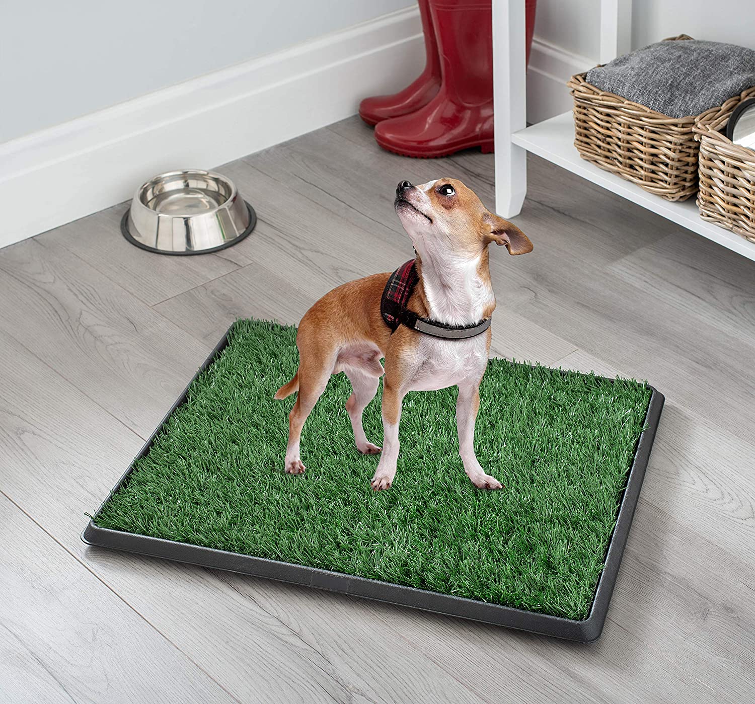 WeRChristmas Pet Potty With Sod, Green, Large - Image 2