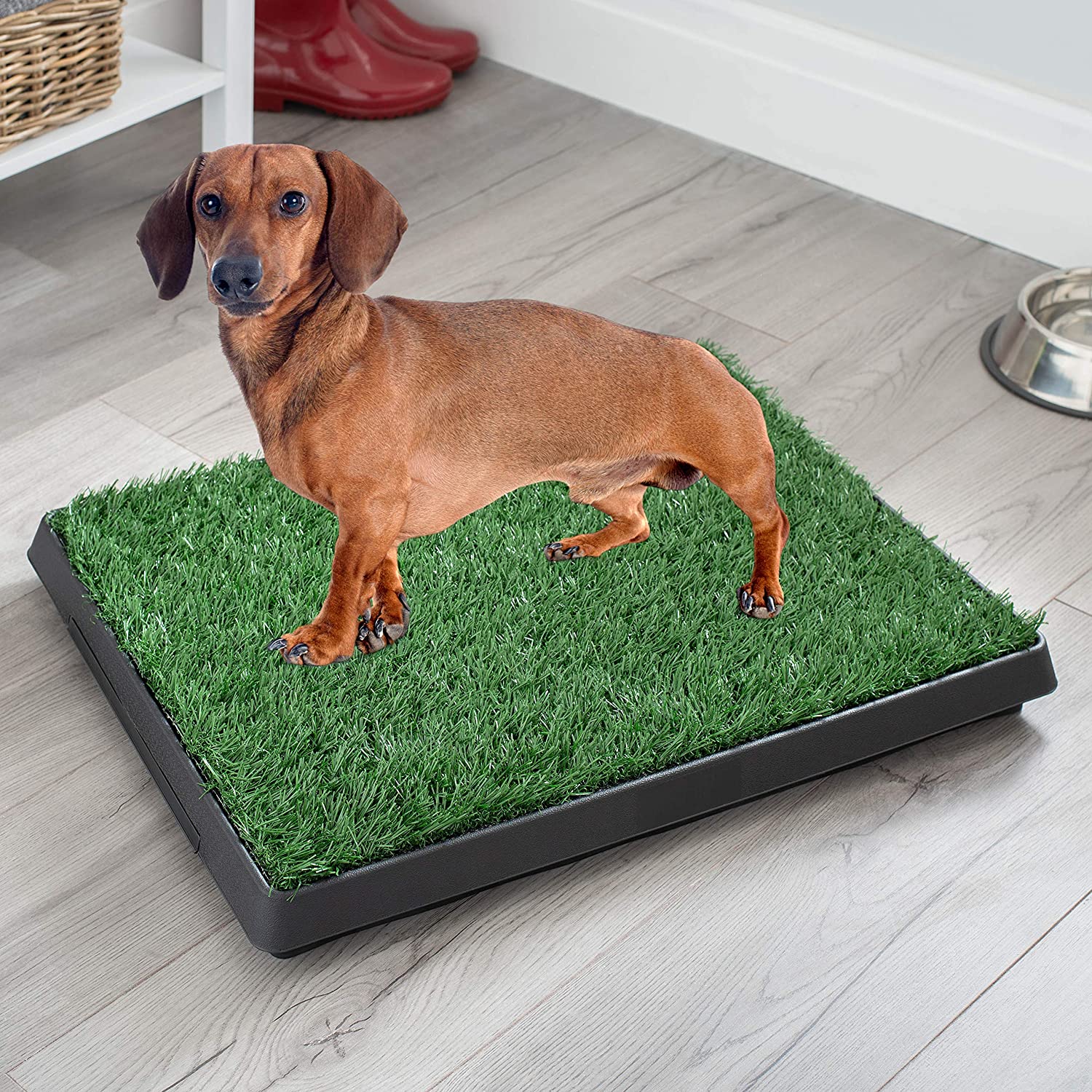 WeRChristmas Pet Potty With Sod (Drawer Style), Green - Image 2