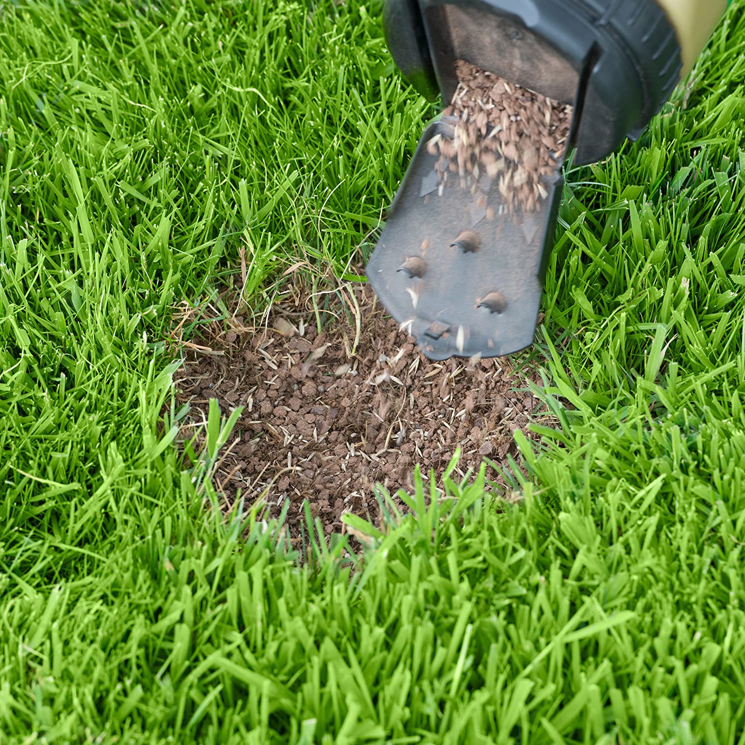 Miracle-Gro Patch Magic Dog Spot Repair 1293 g, 1.2 kg - Image 4